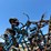 #32187-•-tiger-mate-26'-field-cultivator-image-21