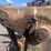 #2676-•-jrb-approx-96“-loader-grapple-image-12