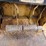 caterpillar-d3-image-38