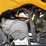 2003-honda-trx90-image-8