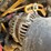 2021-caterpillar-236d3-image-31