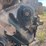 #1621-•-big-cam-turbo-diesel-cummins-engine-image-7