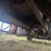 #1216-•-2007-chevrolet-crane-truck-image-98