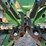 john-deere-616c-image-31