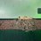 john-deere-750-image-51