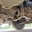 2015-mack-granite-gu813-image-61
