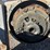 #1621-•-big-cam-turbo-diesel-cummins-engine-image-22