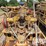(1-25)-2008-vermeer-d500x500-500,000ib-thrust/pul...-image-8
