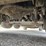 2015-mack-granite-gu813-image-54