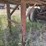 #1315-•-2002-dierzen-dominator-end-dump-semi-trailer-image-13
