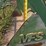john-deere-a-image-4