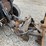 bobcat-3650-image-11