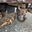 2000-ford-2000-image-31