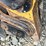 caterpillar-279c2-image-12