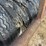 #32197-•-22'-tire-type-packer-image-9