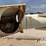 2012-b&b-dry-tender-trailer-(jn2959,-unit-1241)-image-37