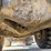 komatsu-hm400-2-image-62