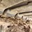 2014-ditch-witch-jt25-image-67