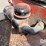 willmar-wrangler-image-33