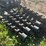 #2670-•-(7)-approx-42"-return-rollers-image-3
