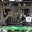 2021-john-deere-f4365-image-112