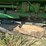 1998-john-deere-694-image-8