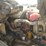 2017-mack-ch613-image-11