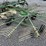 2007-krone-swadro-900-image-13