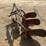 massey-ferguson-3-image-3