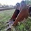 #2538-•-approx-28“-excavator-bucket-image-4