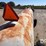 nh3-nurse-tank-(gp11393,-unit-47031,-tank-226)-image-13