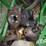 2021-john-deere-f4365-image-46