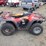 arctic-cat-300-image-3