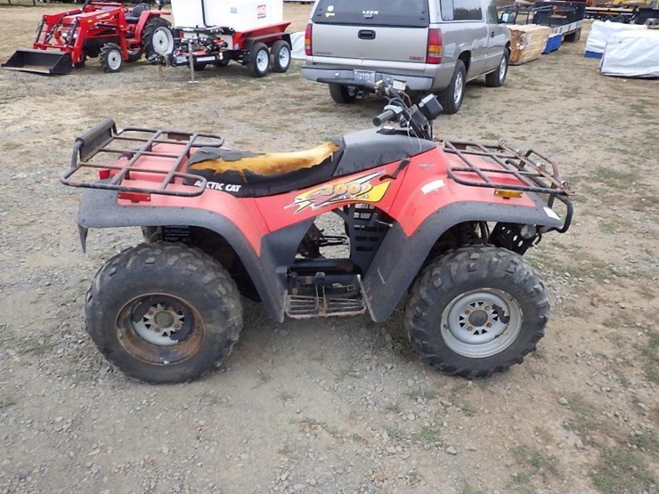 arctic-cat-300-image-3