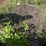 #2673-•-(3)-4’x58-1/2"-screens-image-3