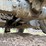 caterpillar-th407c-image-47