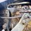 #32185-•-1995-case-international-7250-mfwd-tractor-jja0056887-image-41