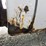 2002-ford-f550-image-28