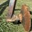 #32167-•-allen-mfg-water-furrow-plow-image-5