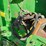 john-deere-566-image-28