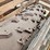 case-ih-2388-image-10