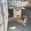 #1311-•-arising-industries-approx-30'-enclosed-trailer-image-17
