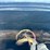 #32184-•-inop-case-international-7140-tractor-image-58
