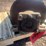 #1566-•-approx-26"-belt-roller-image-9