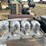 #32198-•-deutz-d914l04-4cyl-power-unit-image-16