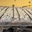 caterpillar-257b3-image-60