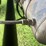 1986-mack-dm686s-image-56