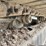 link-belt-210-x2-image-78