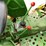 john-deere-950-image-49