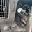 2019-chevrolet-express-2500-image-14
